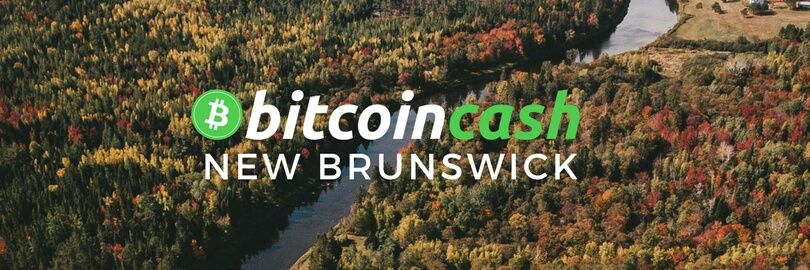 BCHNB banner
