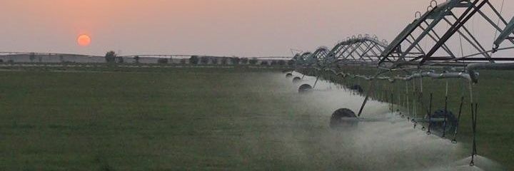 أبو العمير المسهلي banner