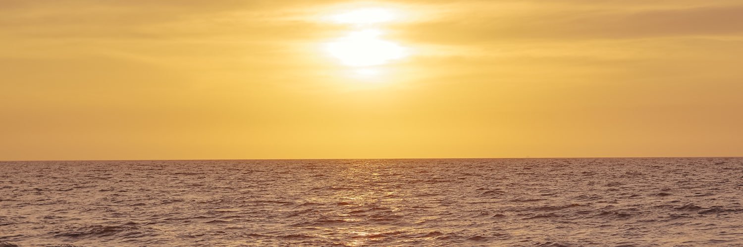 evasalcedom's profile banner image