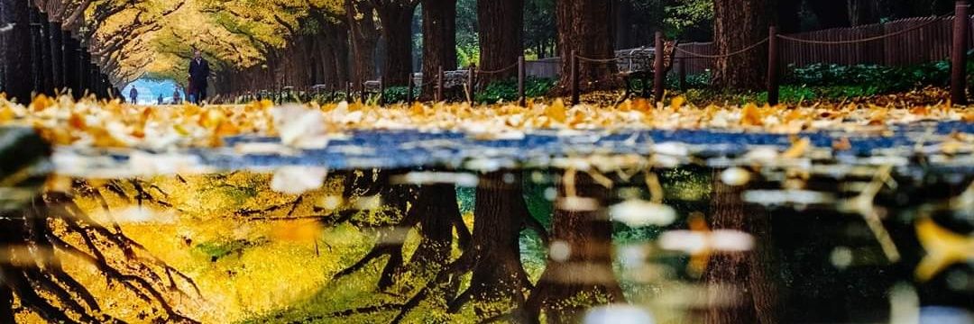rurudo1's profile banner image