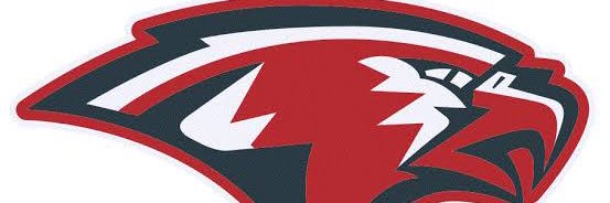 Austin Stidham banner