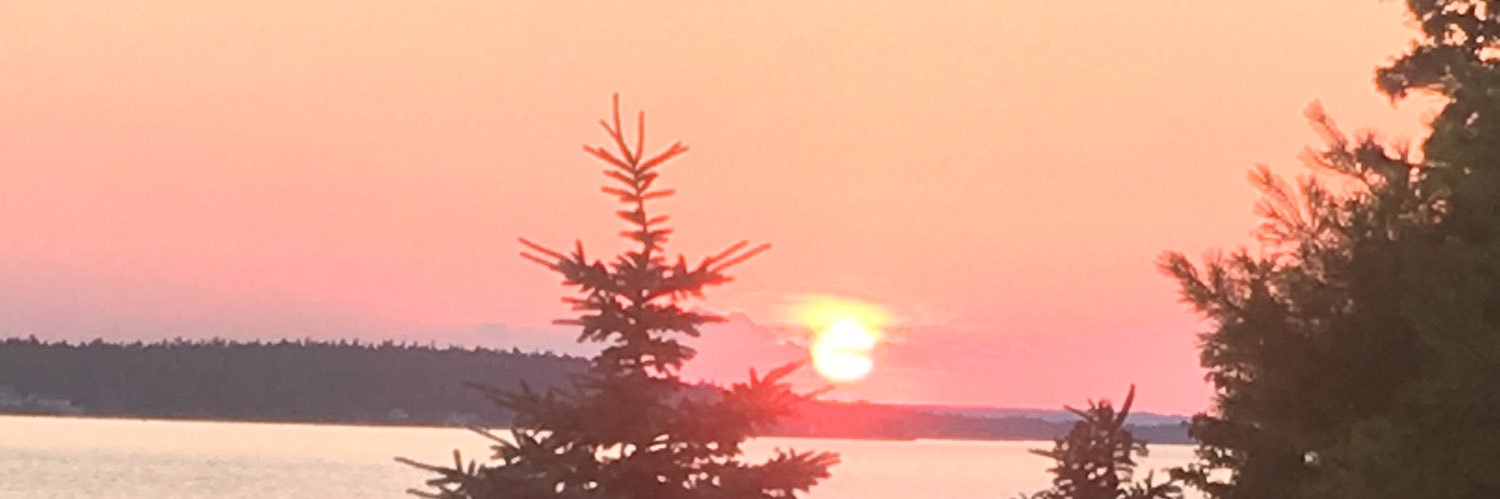 Erica Knebl banner
