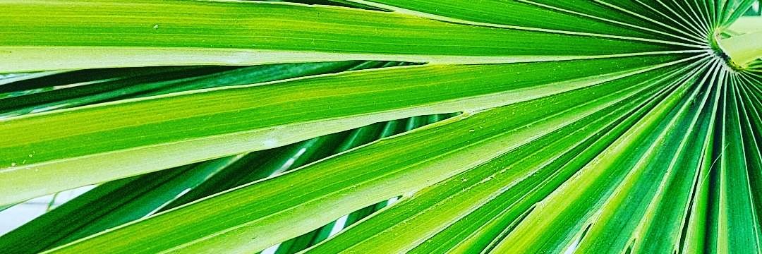 beaespineira's profile banner image