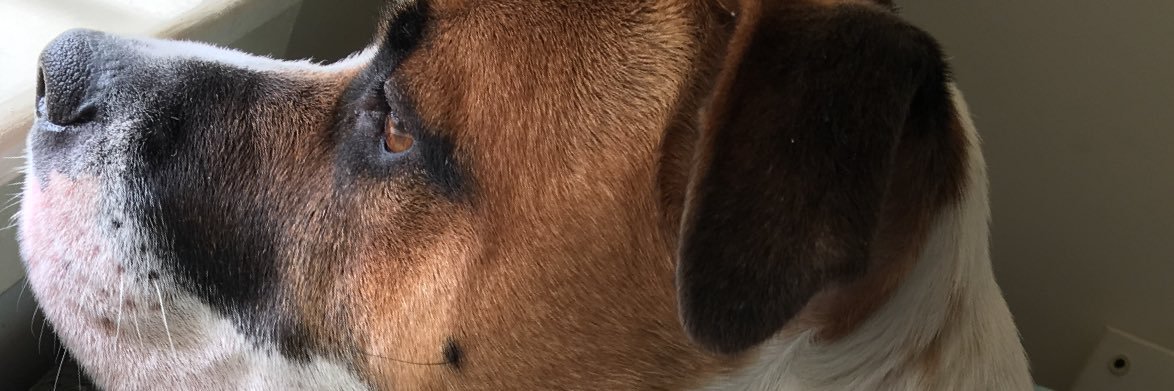 3Naddaclue's profile banner image