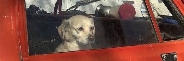 HDerhun's profile banner image