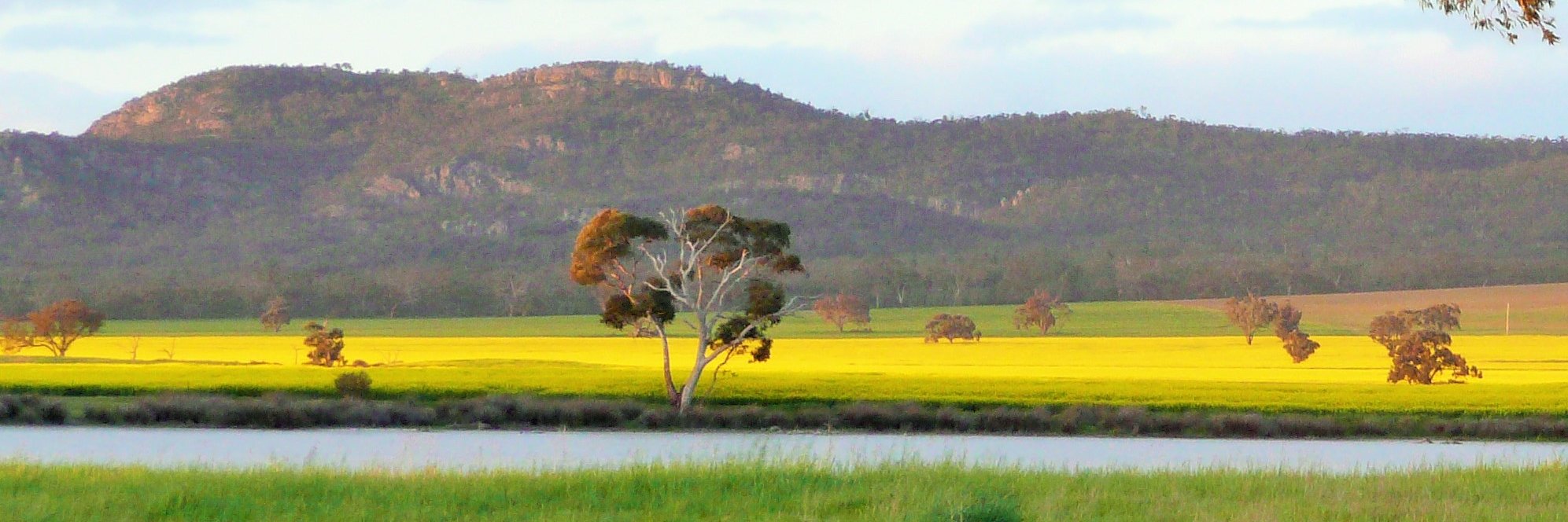 AGDATA Australia banner