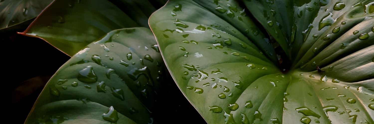Emma_kemong's profile banner image