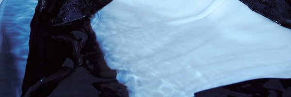 jwoosworld Profile Banner