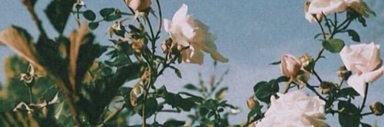 _ME_HAHAHA_'s profile banner image