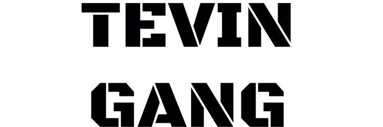 TEVINGANG's profile banner image