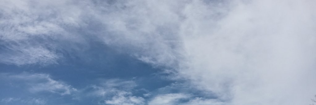 anna eaves banner