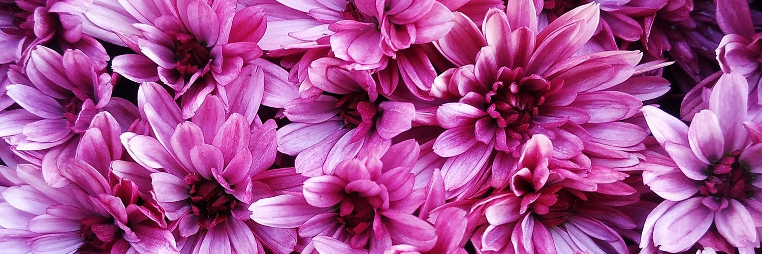 MariaSMFA's profile banner image