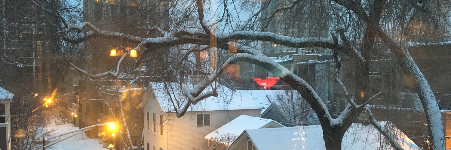 david jackson banner