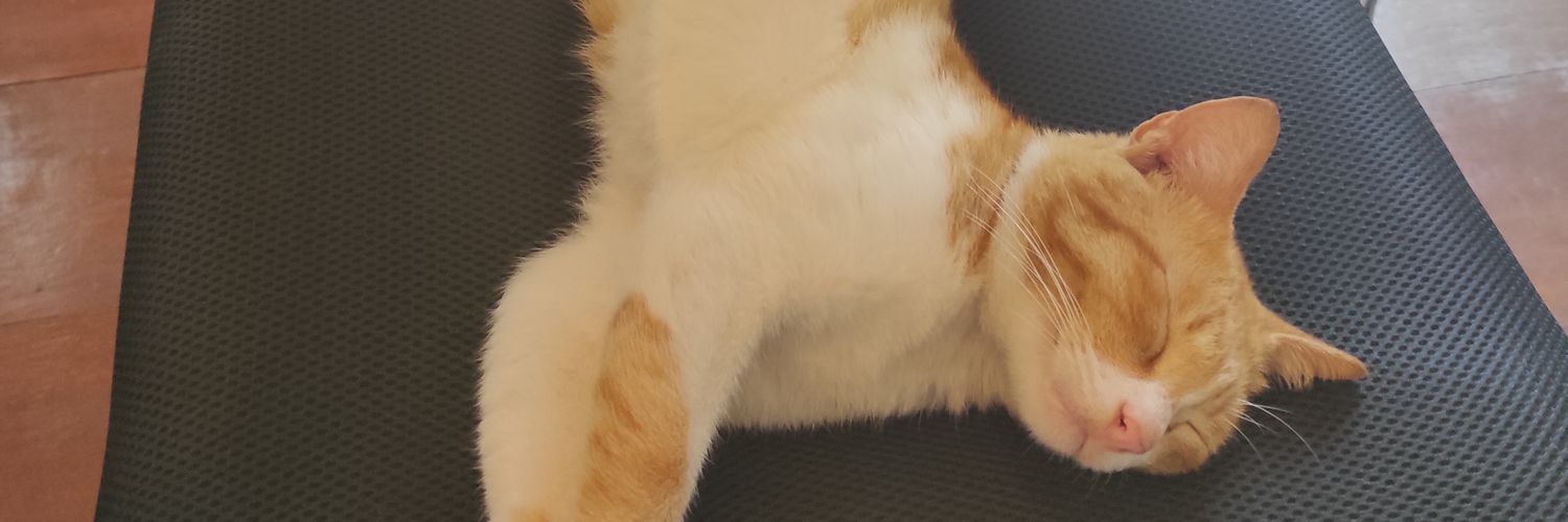 bisadibacaMN's profile banner image