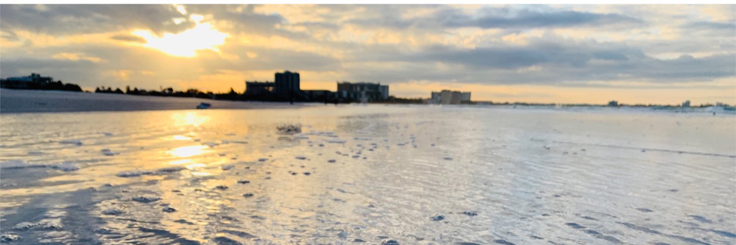 BrianToronyi's profile banner image