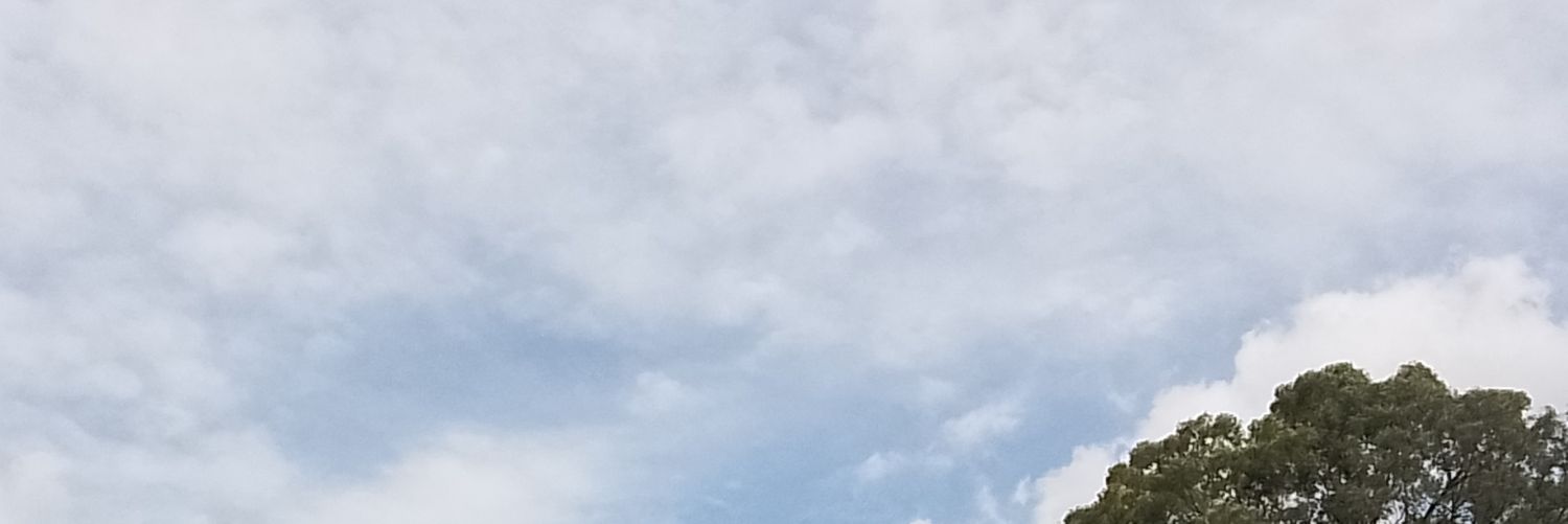 valemclemente's profile banner image