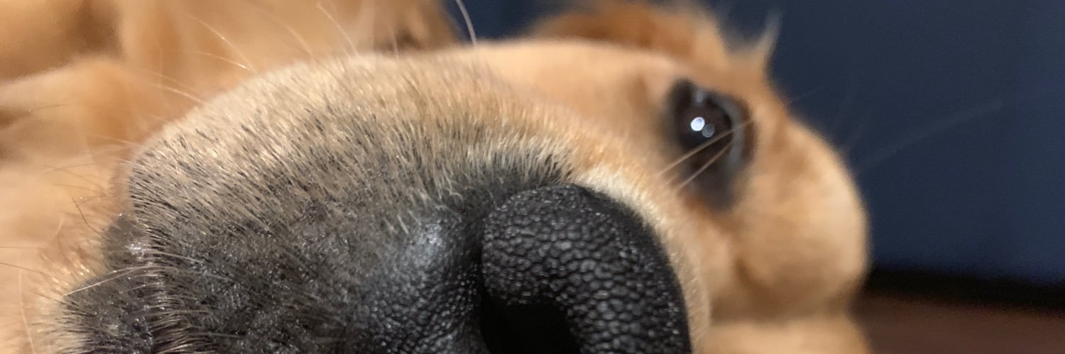 vcole37's profile banner image