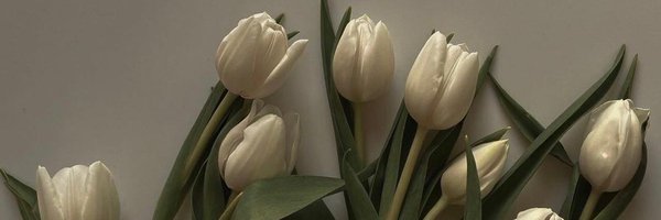 WolvesDontWoof Profile Banner