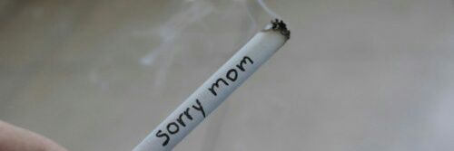 Cazaque Rui 🌹 banner