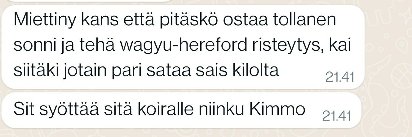 KimmoFalck's profile banner image