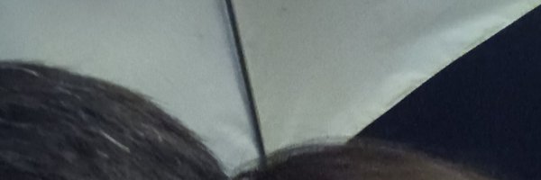 PAPA_THUY Profile Banner
