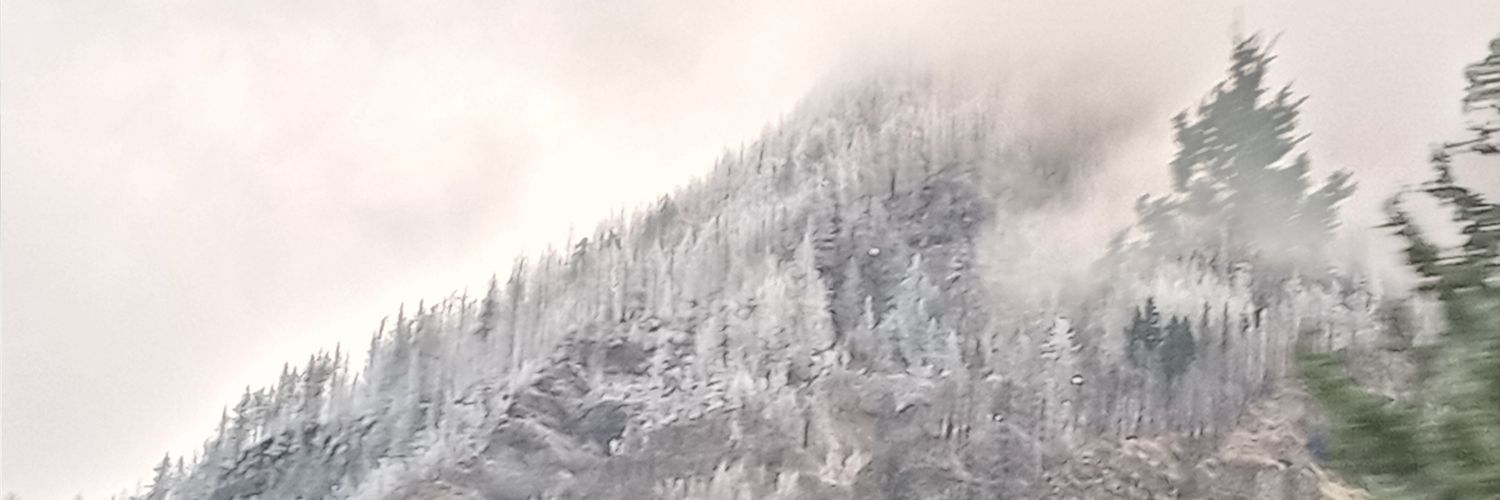 HalfBigfoot's profile banner image