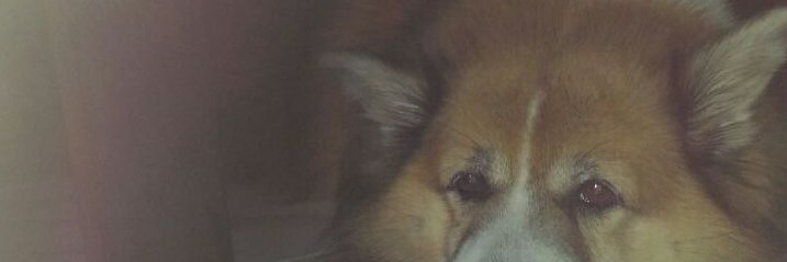 SatyaWidi's profile banner image
