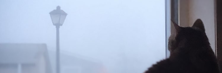 ShalynStack's profile banner image