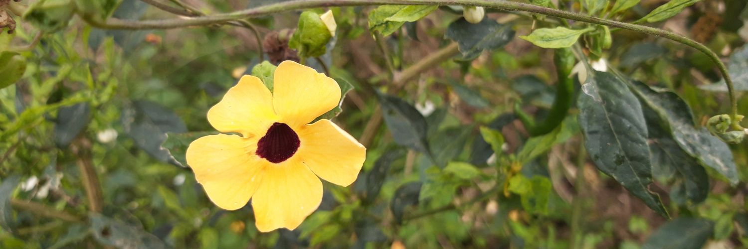 i366's profile banner image