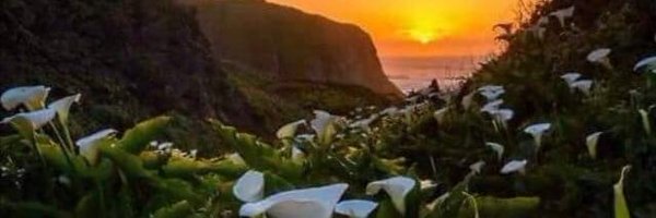 NGABelfast Profile Banner