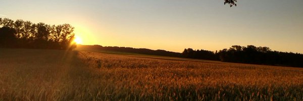 Degenhardt_MFS Profile Banner