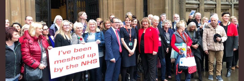 Mesh Awareness Wales 🏴󠁧󠁢󠁷󠁬󠁳󠁿 banner