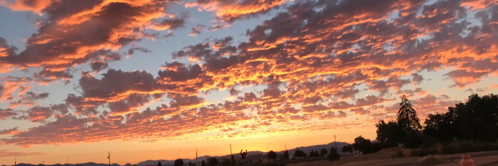 Andrea Budavari banner