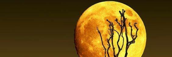 muthikebk's profile banner image