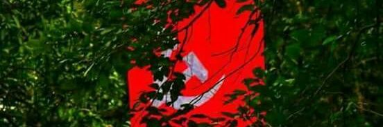 Shibi668's profile banner image
