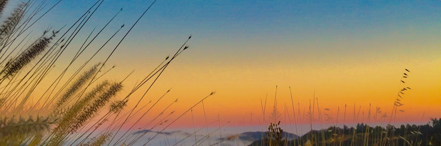 Schmoo banner