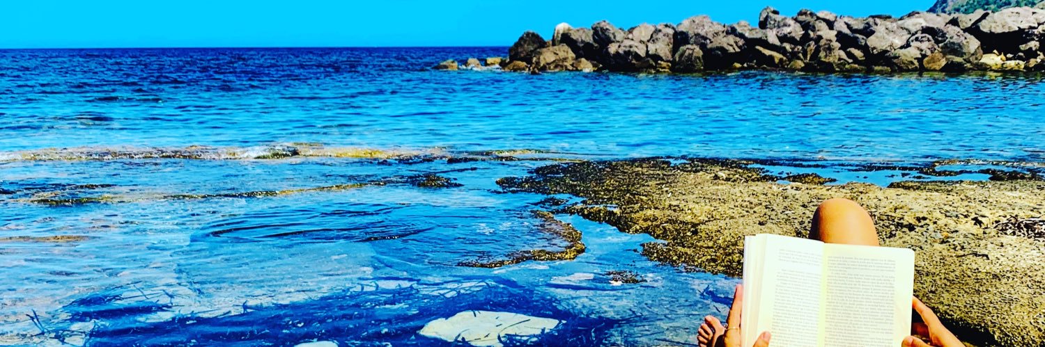 carme castells banner