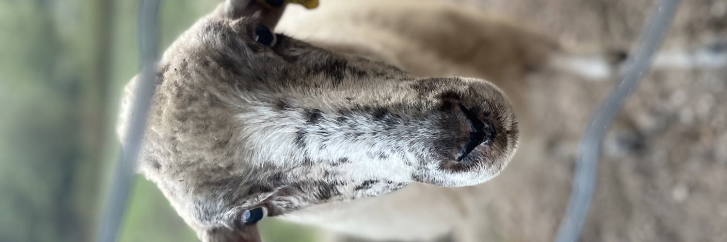 Cristóvãuuuuuuuuuuuuá banner