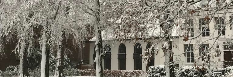 Monique de Vos banner