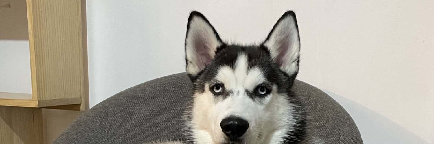 Freevann's profile banner image