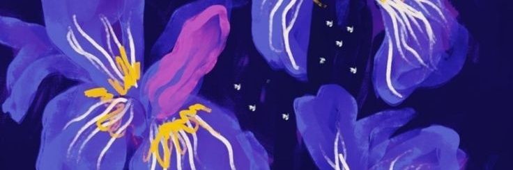 desfruitsrouges's profile banner image