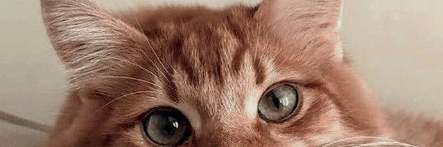 aydanazir's profile banner image