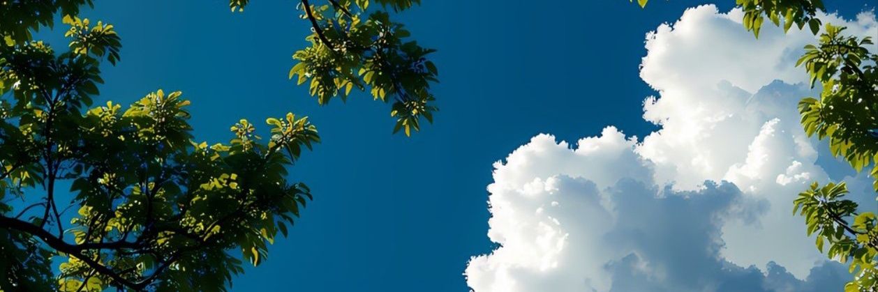 The_Wind11's profile banner image
