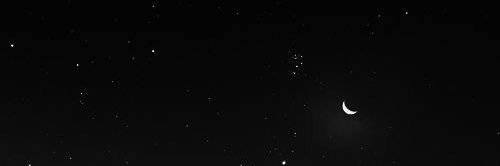 ɘᴎu| ɒm 🌙 banner