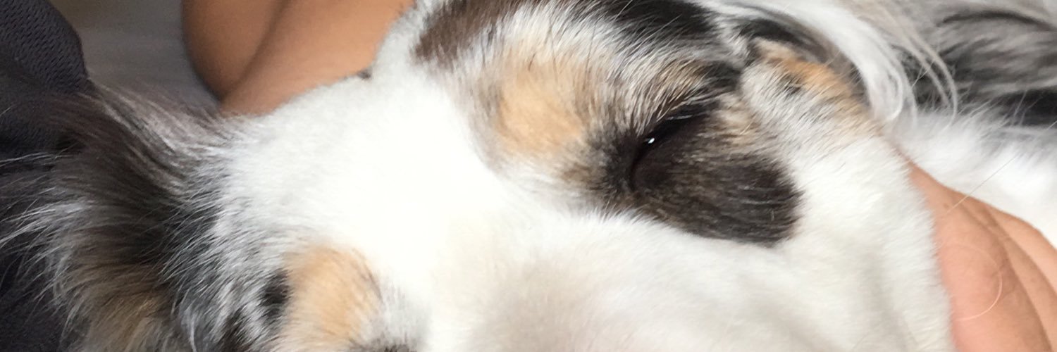 Anthony Sanchez banner