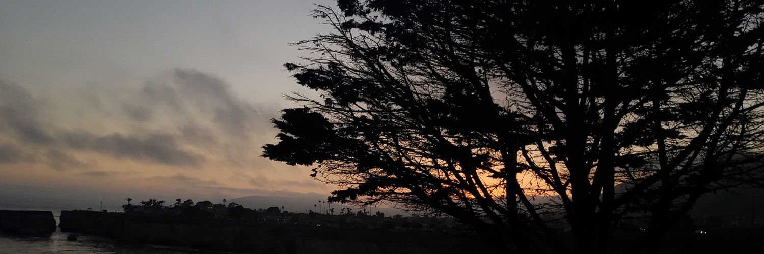 Danny Subohms banner