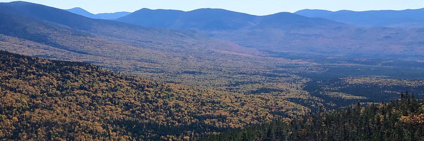 Tate Ryan Mosley banner