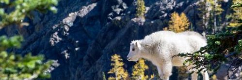 christina xavier banner