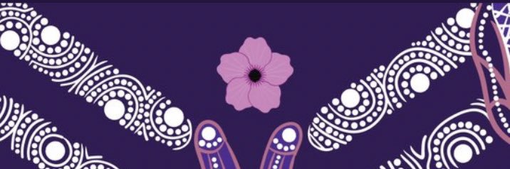 Timmy Doc banner