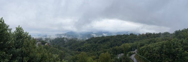 teaux_who Profile Banner